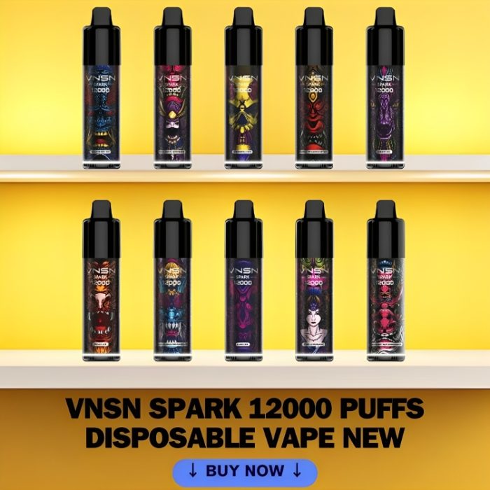 DISPOSABLE VAPE | The VNSN SPARK with 12,000 Puffs