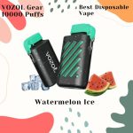 Best Disposable Vape in Dubai VOZOL Gear 10000 Puffs